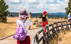 坎贝奇第二部曲《品味人生》免费观看